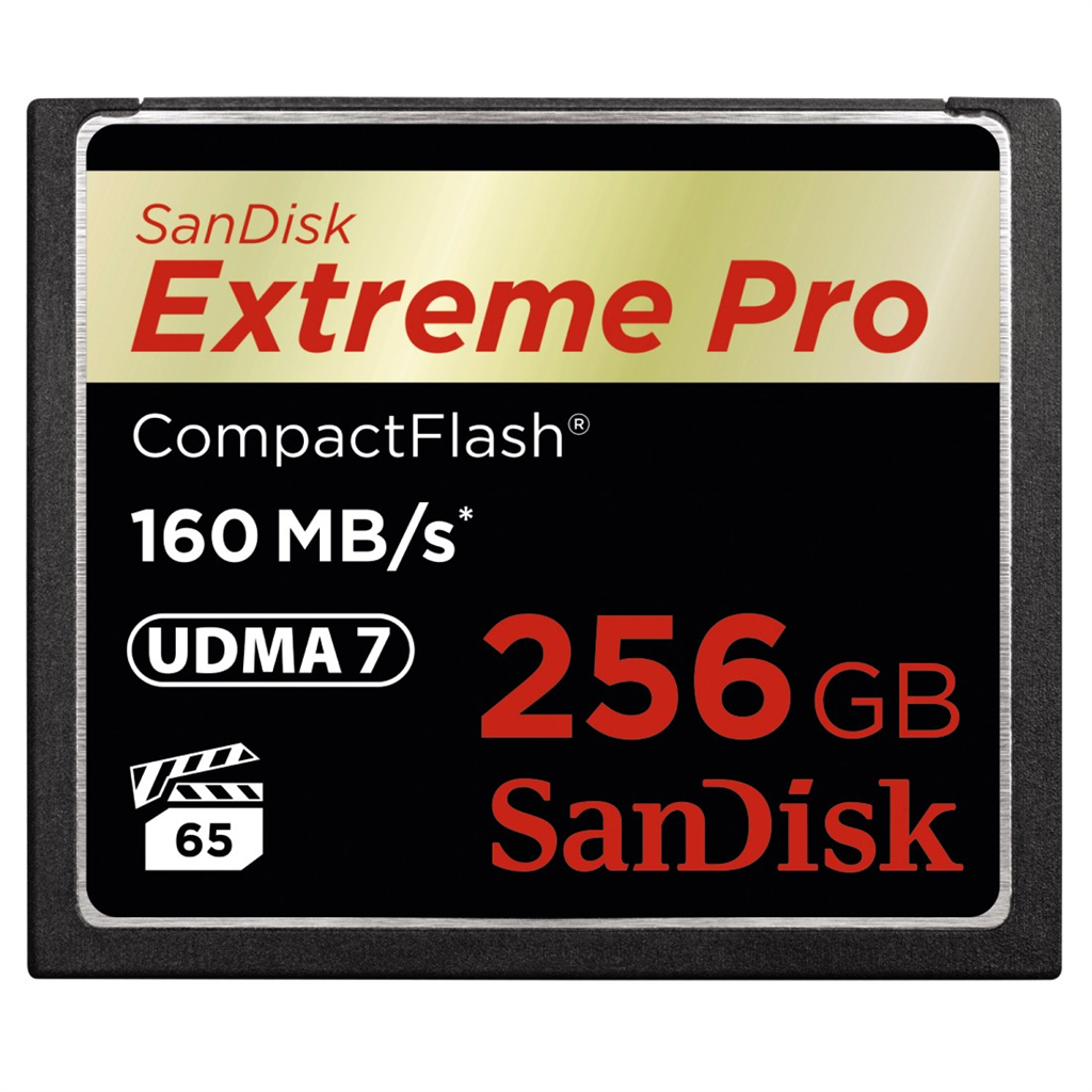 SanDisk 123863  Extreme Pro CF 256 GB 160 MB s VPG 65, UDMA 7